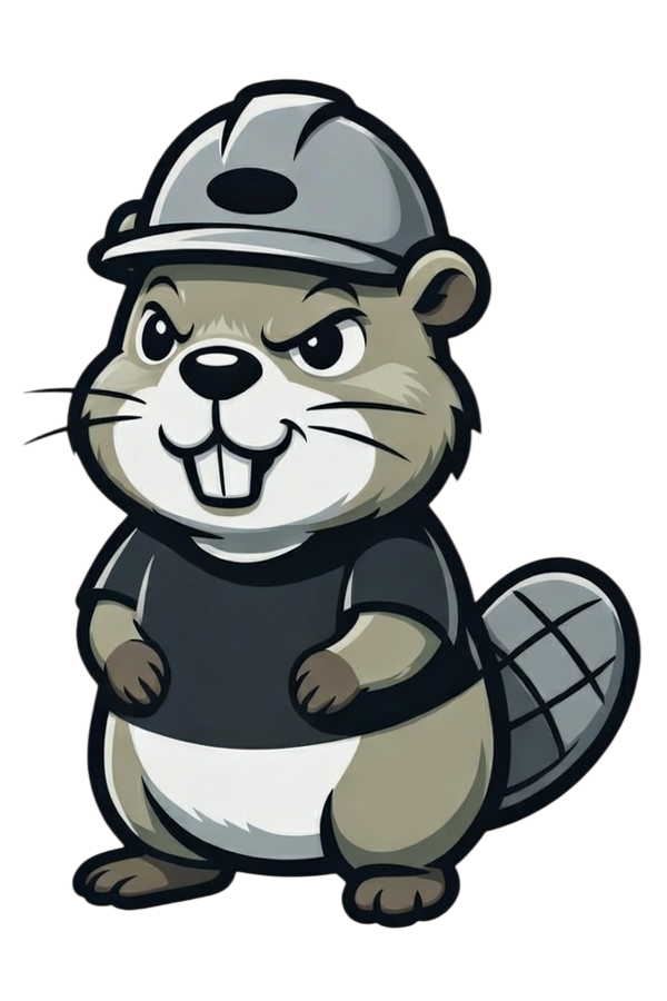 Full dataset pipeline